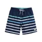 Dark Blue Stripes
