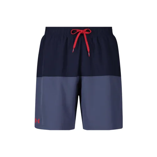 Under Armour UA Harbour Heritage Swimming Shorts Men's Gray