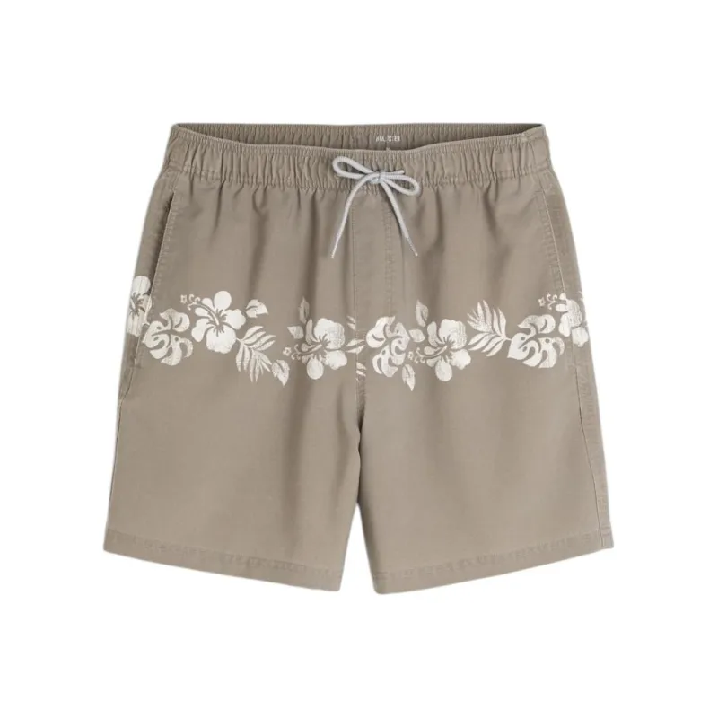 Hollister Swimming Shorts Men's Taupe-0
