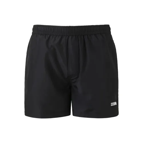 Ermenegildo Zegna Logo embroidered Swim Shorts