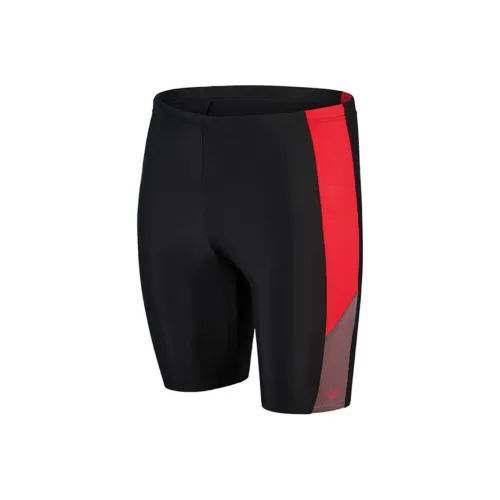 Speedo Swimming Shorts Men