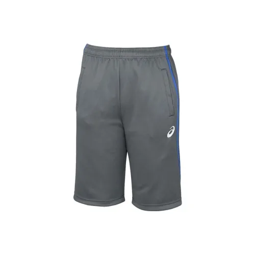 Asics Casual Shorts Men Gray