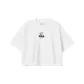 Standard White
