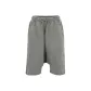 Rhinoceros Gray