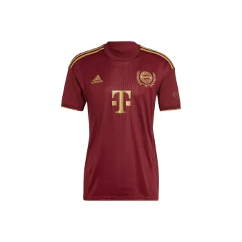 Adidas Bayern Munich Soccer Jerseys Men's Dark Red