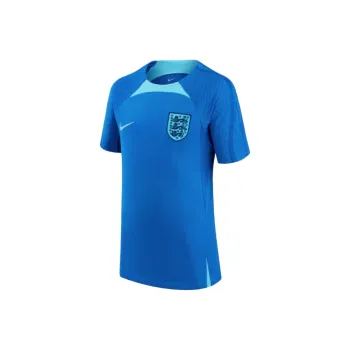 Nike Soccer Jerseys Men Blue Fury