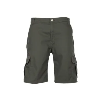 Dickies Casual Shorts Men's Olive Green