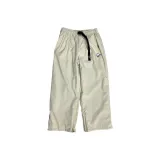 Silver Apricot Gray