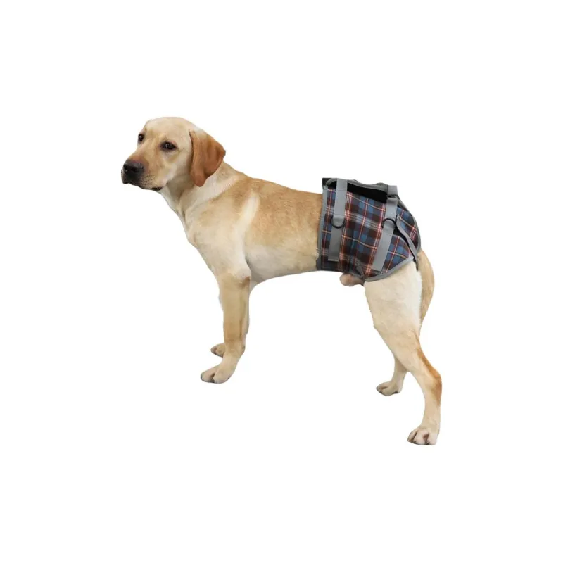 A good thing Leashes-4
