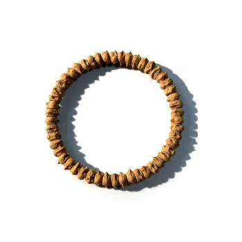 CUISHI Cacumen Platycladi Seeds Bracelets Unisex