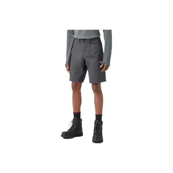 Dickies FLEX Temp-iQ® 365 Regular Fit Shorts 11' Casual Shorts Men's Gray