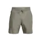 Gray Green