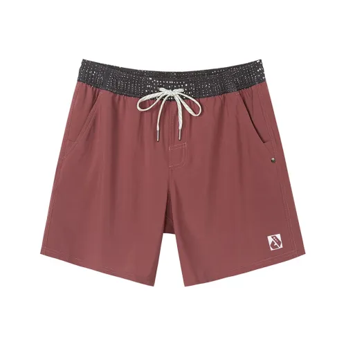 Download Cheap Ediconnect Jordan Outlet APP