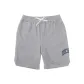 Medium Feather Gray