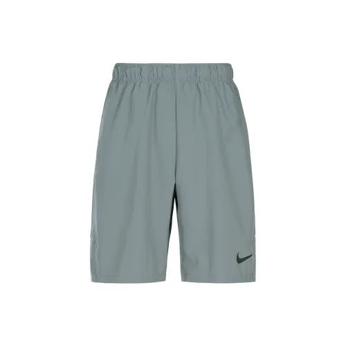 Nike Dri Fit Sports Shorts Men Gray