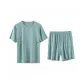 Light Celadon Green