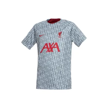 Nike Soccer Jerseys Men Gray
