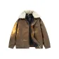 Coffee (Detachable Fur Collar)
