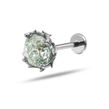 WIC Titanium Alloy Stud Earrings Unisex