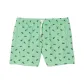 Green/White