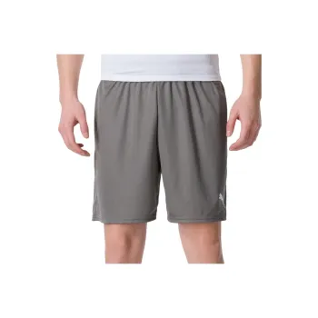 PUMA Casual Shorts Men Gray