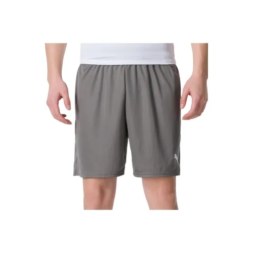 PUMA Casual Shorts Men Gray