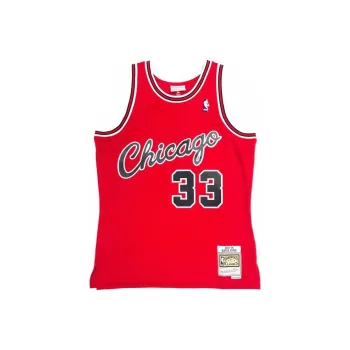Mitchell Ness Scottie Pippen Chicago Bulls Alternate 2003 04 Nba Jersey