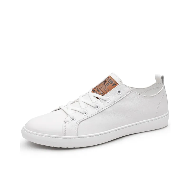Eminu Balance Low Top Skateboard Shoes Men's-1