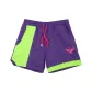 Violet-Neon Green
