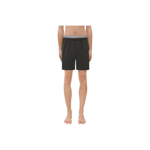 Bottega Veneta SS24 Swimsuit Men's Gray
