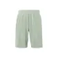 Arctic Green/ATGN