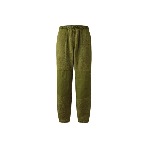 THE NORTH FACE Ripstop Denali Pants