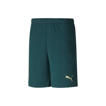 PUMA FIGC RENAISSANCE Soccer Bottoms Men's Green