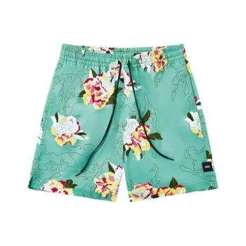 Vans Beach Shorts Men's Light Green