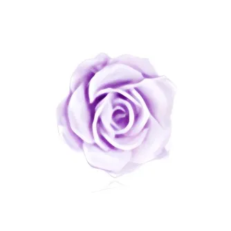 Shiban Acrylic Stud Earrings Women's-5
