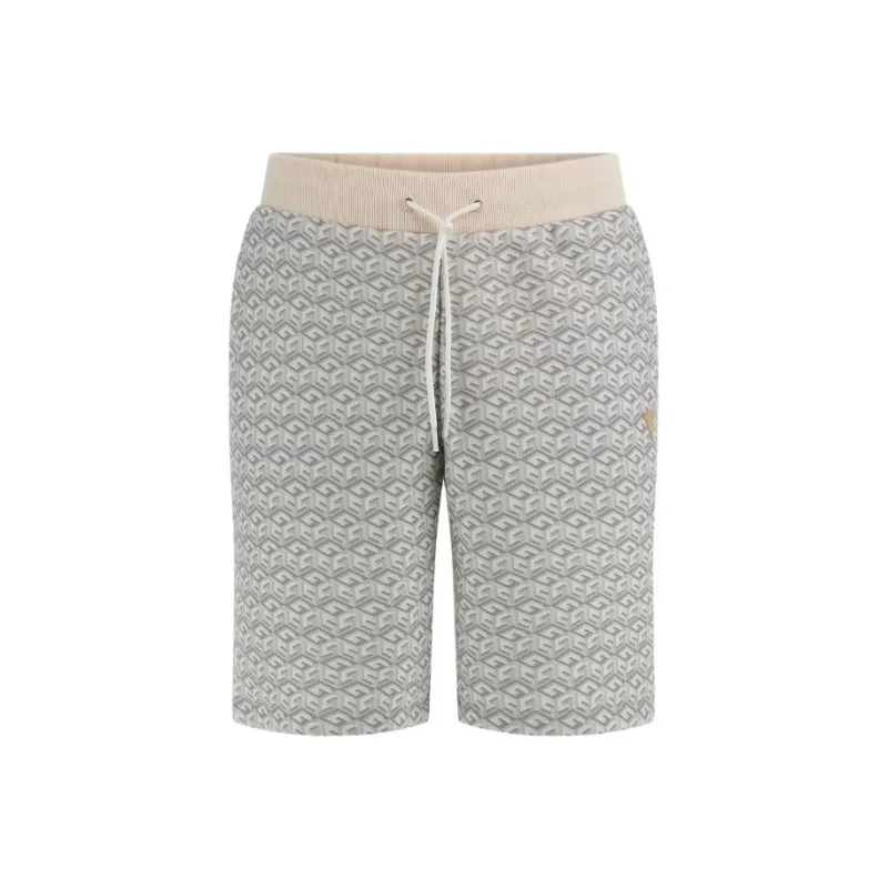GUESS Nylon Swim Trunks Casual Shorts Men's Gray-0