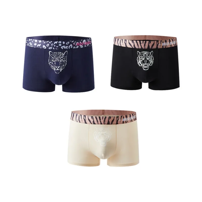 ROBINHOOD Underpants Men's 3 Pack-5