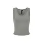 Rhinoceros Gray