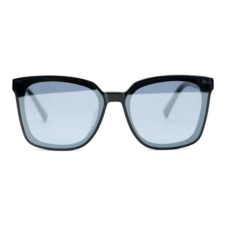 HELEN KELLER Plate Frame Square Sunglasses Unisex-1