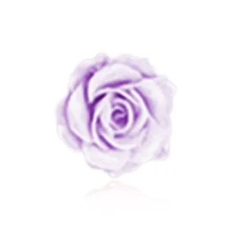 Shiban Acrylic Stud Earrings Women's-7