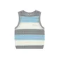 Gray with Blue Stripes