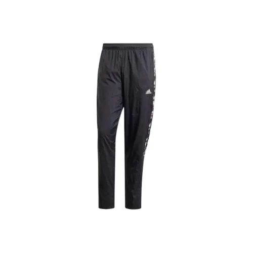 Adidas Free Shipping With AdiClub Pride Tiro Pants