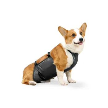 A good thing Pet Clothing