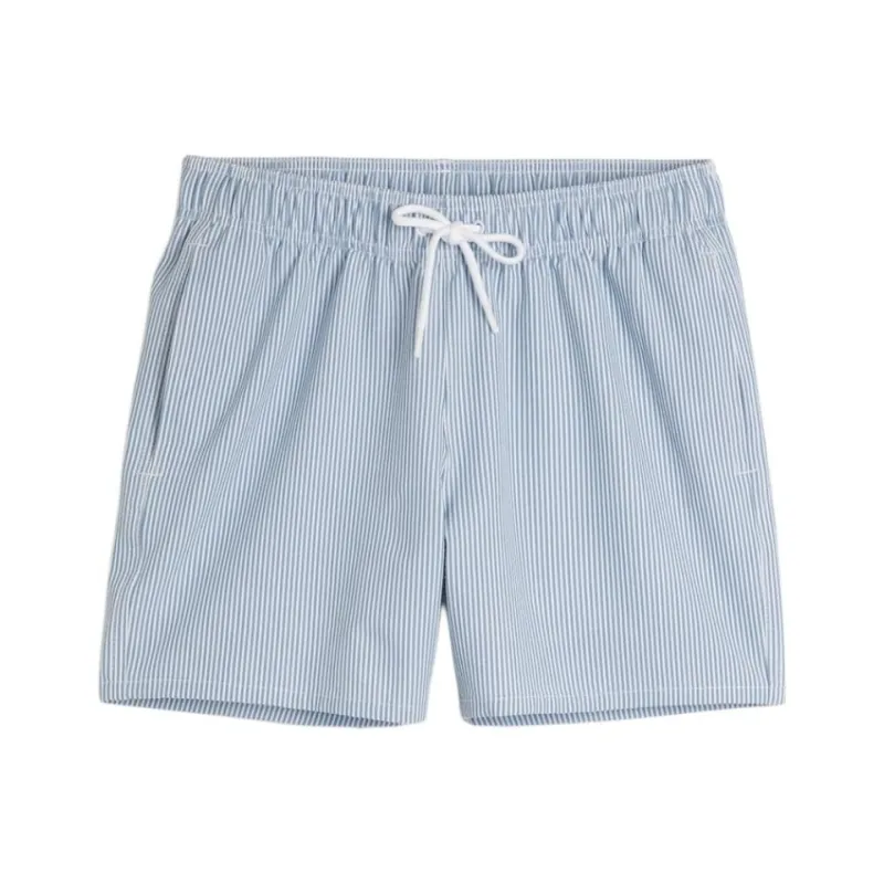 Hollister Swimming Shorts Men's Blue Stripes-0