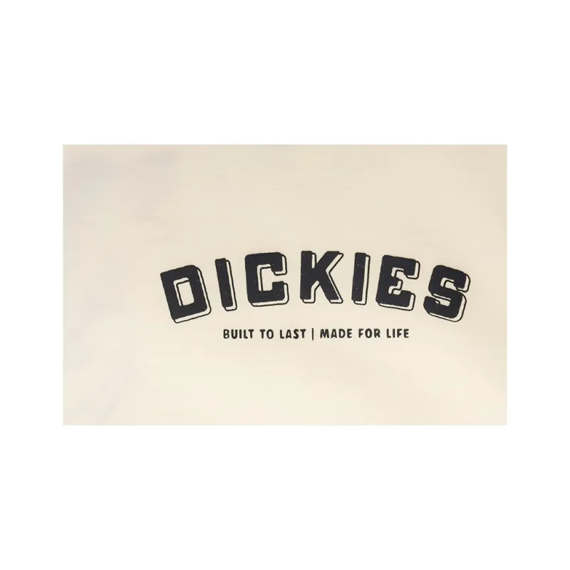 Dickies T Shirt Unisex White Egret White-4