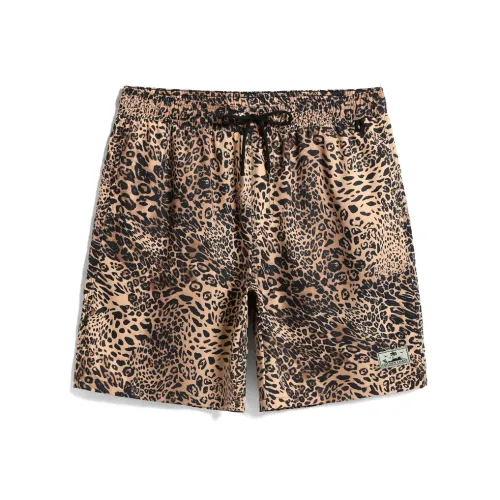 GAILANG Beach Shorts Men's Leopard Print Multicolor