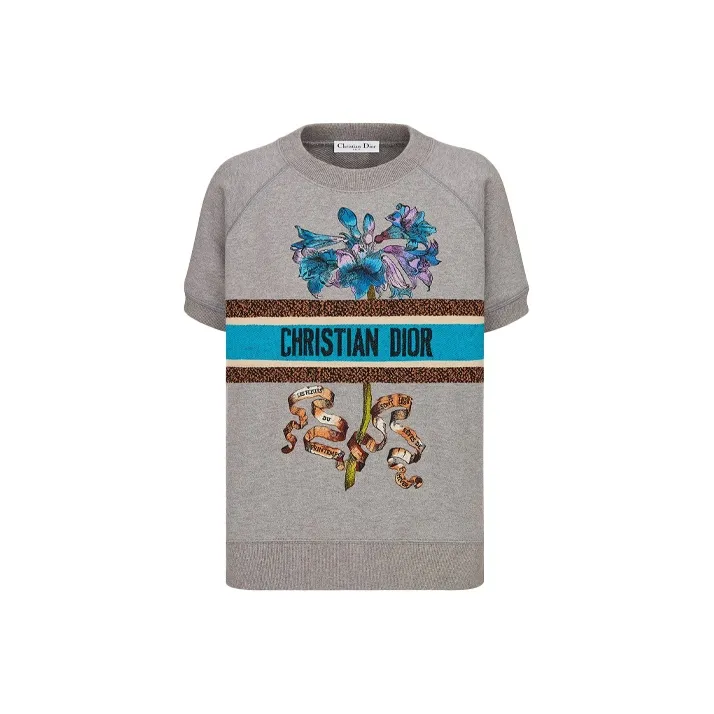 DIOR Quarterly New Products Raglan Sleeve T Shirt Women's Gray-0