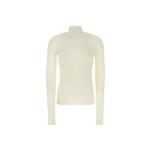 AMIPARIS Paris Semi Sheer Roll Neck Ribbed Knit Jumper