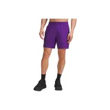 University Purple/College Purple