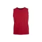 Red/Vermilion Red/DKRD